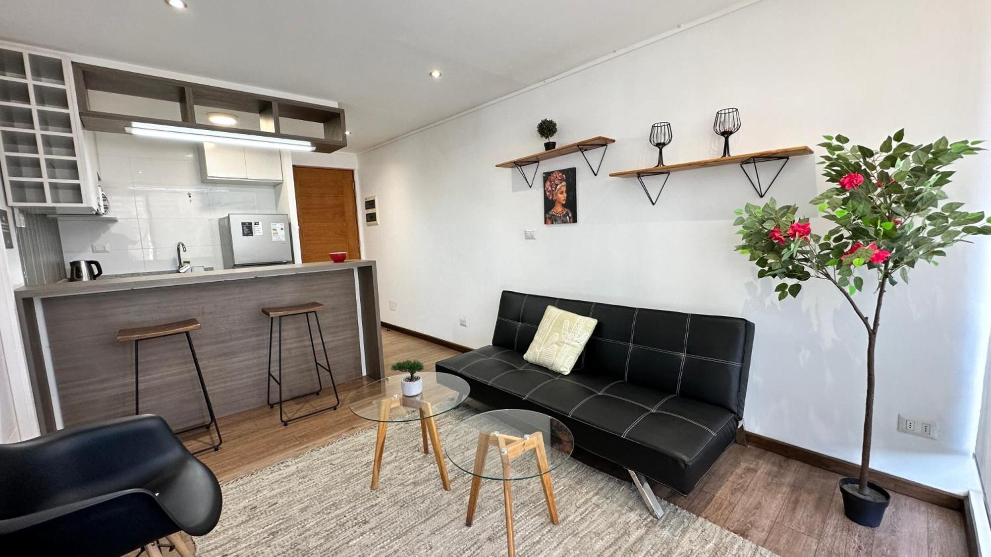 Apart Hotel Castellon 176 コンセプシオン エクステリア 写真