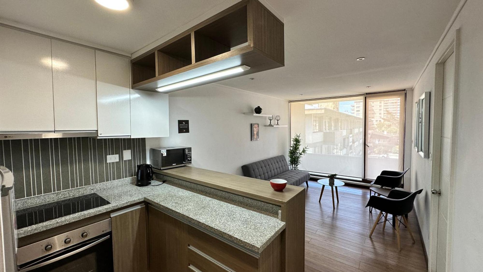 Apart Hotel Castellon 176 コンセプシオン エクステリア 写真